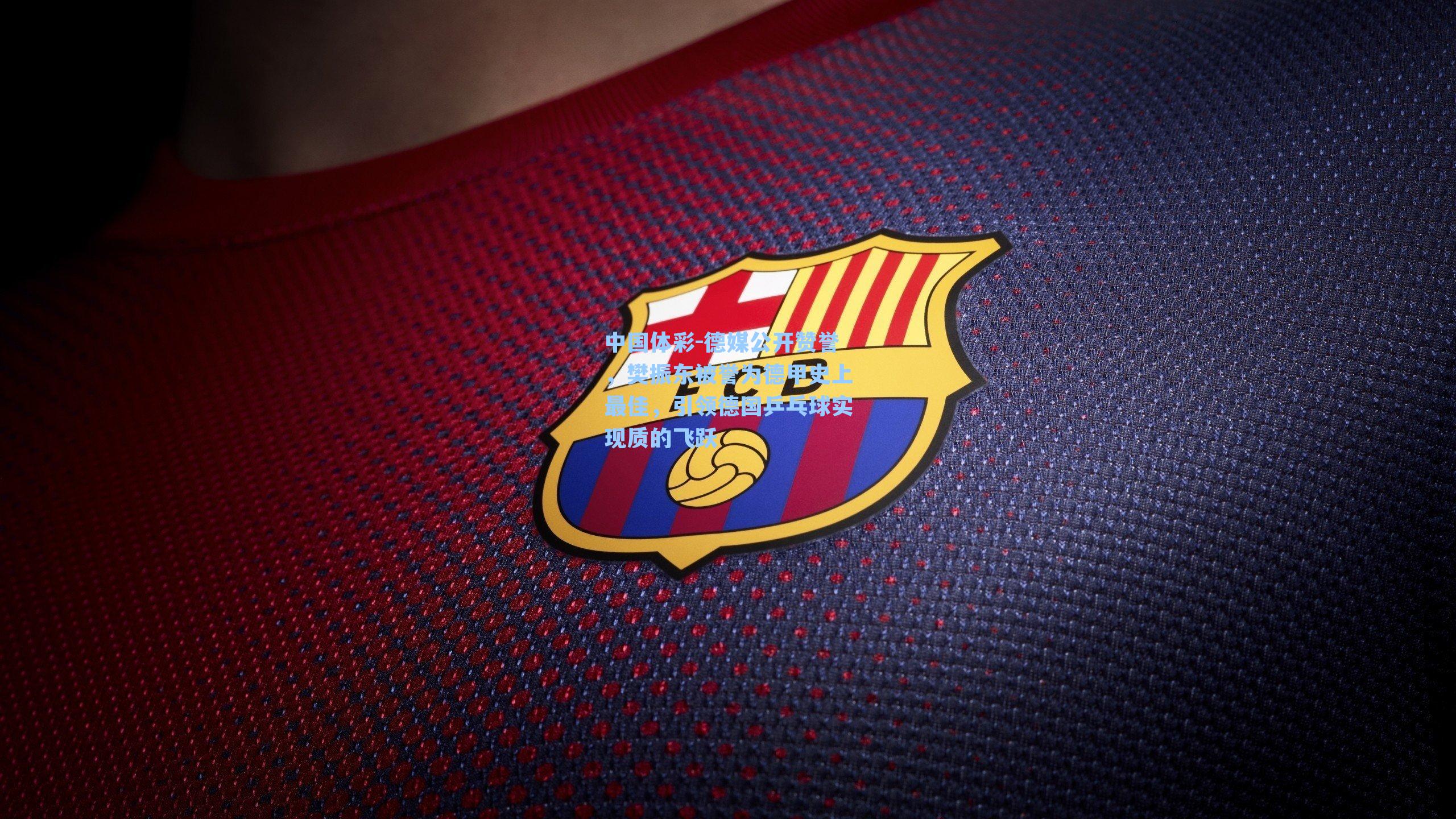 中国体彩-德媒公开赞誉，樊振东被誉为德甲史上最佳，引领德国乒乓球实现质的飞跃